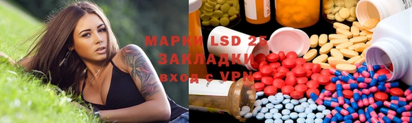 крисы Магадан