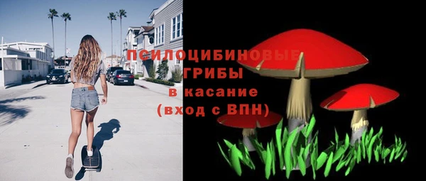 крисы Магадан