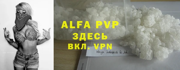 крисы Магадан